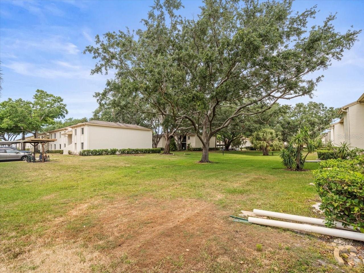 EAST LAKE WOODLANDS CYPRESS ESTATES - Residential