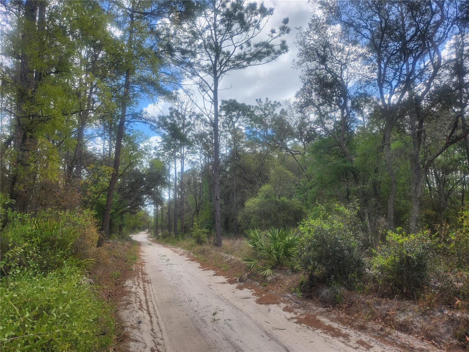 FLORIDA HLNDS - Land