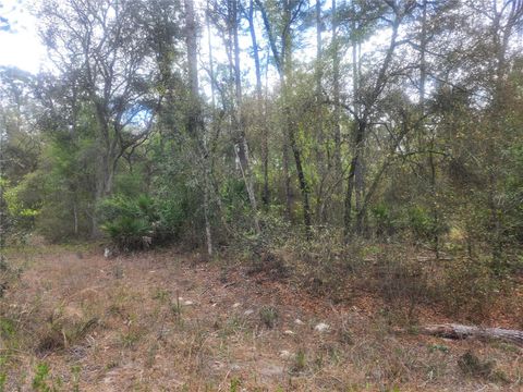 7446 SW 151ST PLACE DUNNELLON FL 34432