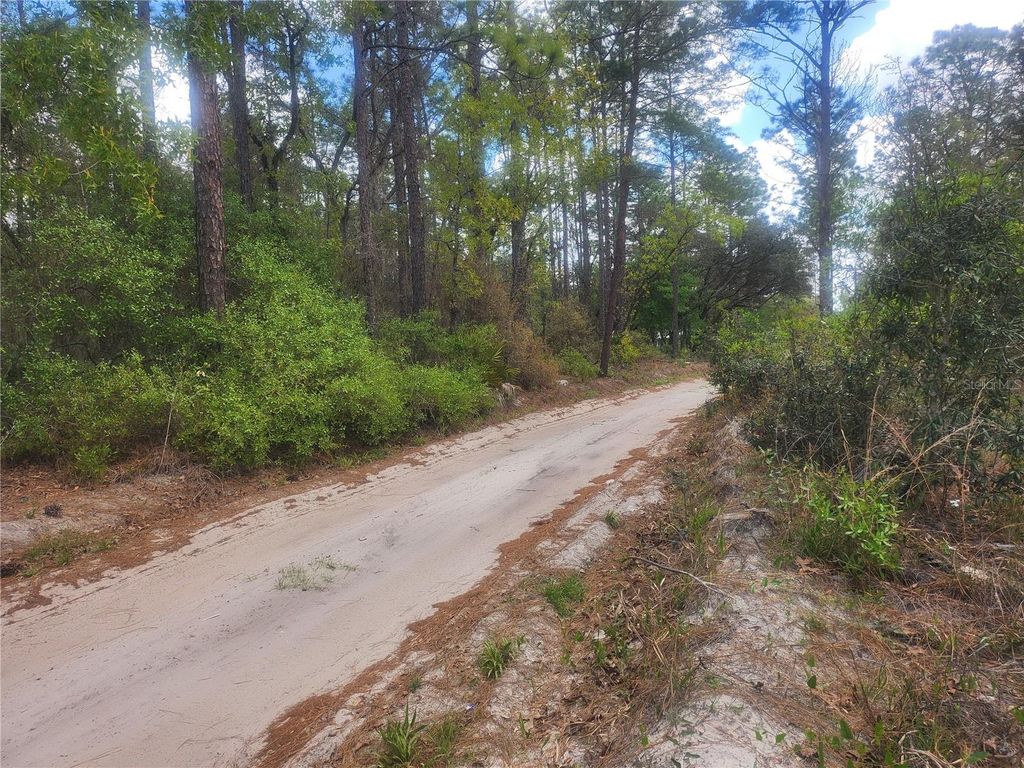 Photo of 7446 SW 151st Place, Dunnellon, FL 34432 (MLS # OM722570)