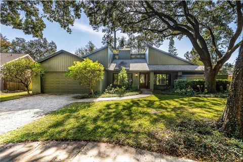 A home in TAMPA