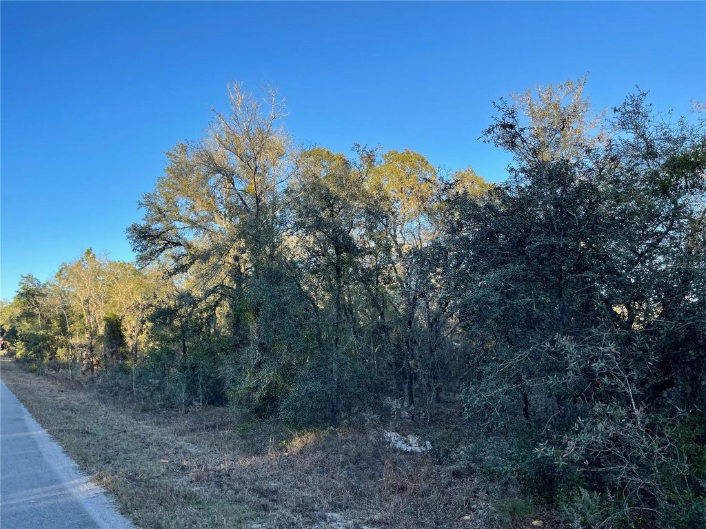 Photo of Tbd SW Willow Rd, Dunnellon, FL 34431 (MLS # GC536507)