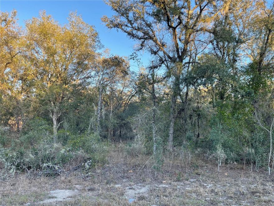 0.99 acres in Rainbow Lakes Estates already with a survey. Site built homes are allowed but no mobile homes allowed. With some light clearing this will be ready for your home. Bring your animals and toys as there is no HOA. Well and Septic are needed. Electric is nearby. This neighborhood is sought out due to no HOA and all paved roads. Close to Ocala, World Equestrian Center, Gainesville, Tampa, Daytona and so much more. This lost may not last long!!