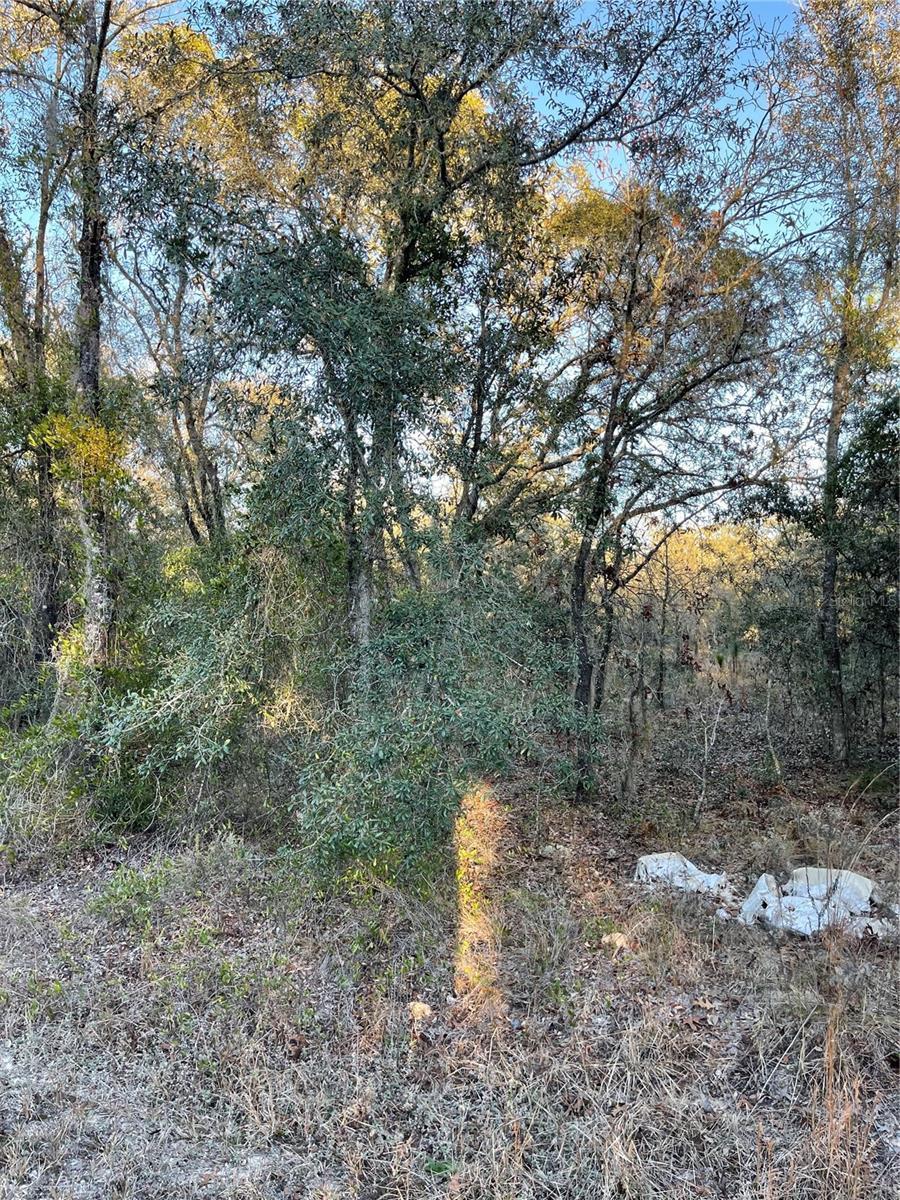 RAINBOW LAKES ESTATES - Land