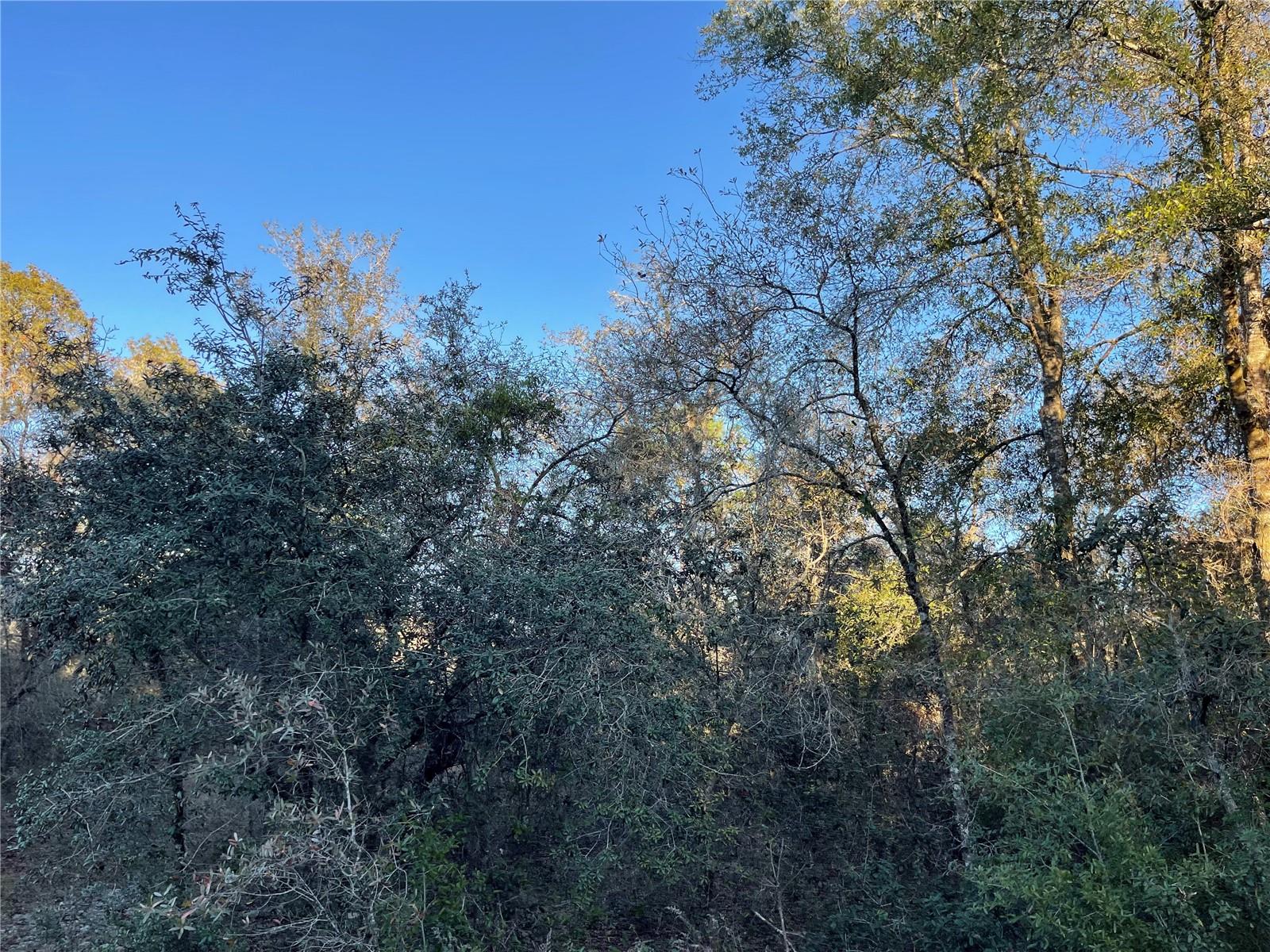 RAINBOW LAKES ESTATES - Land