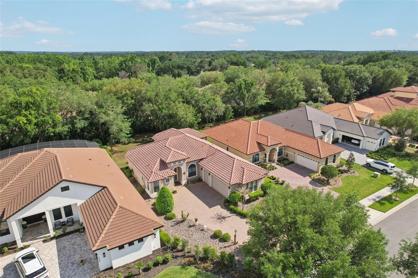 LAS COLINAS PH II SUB - Residential