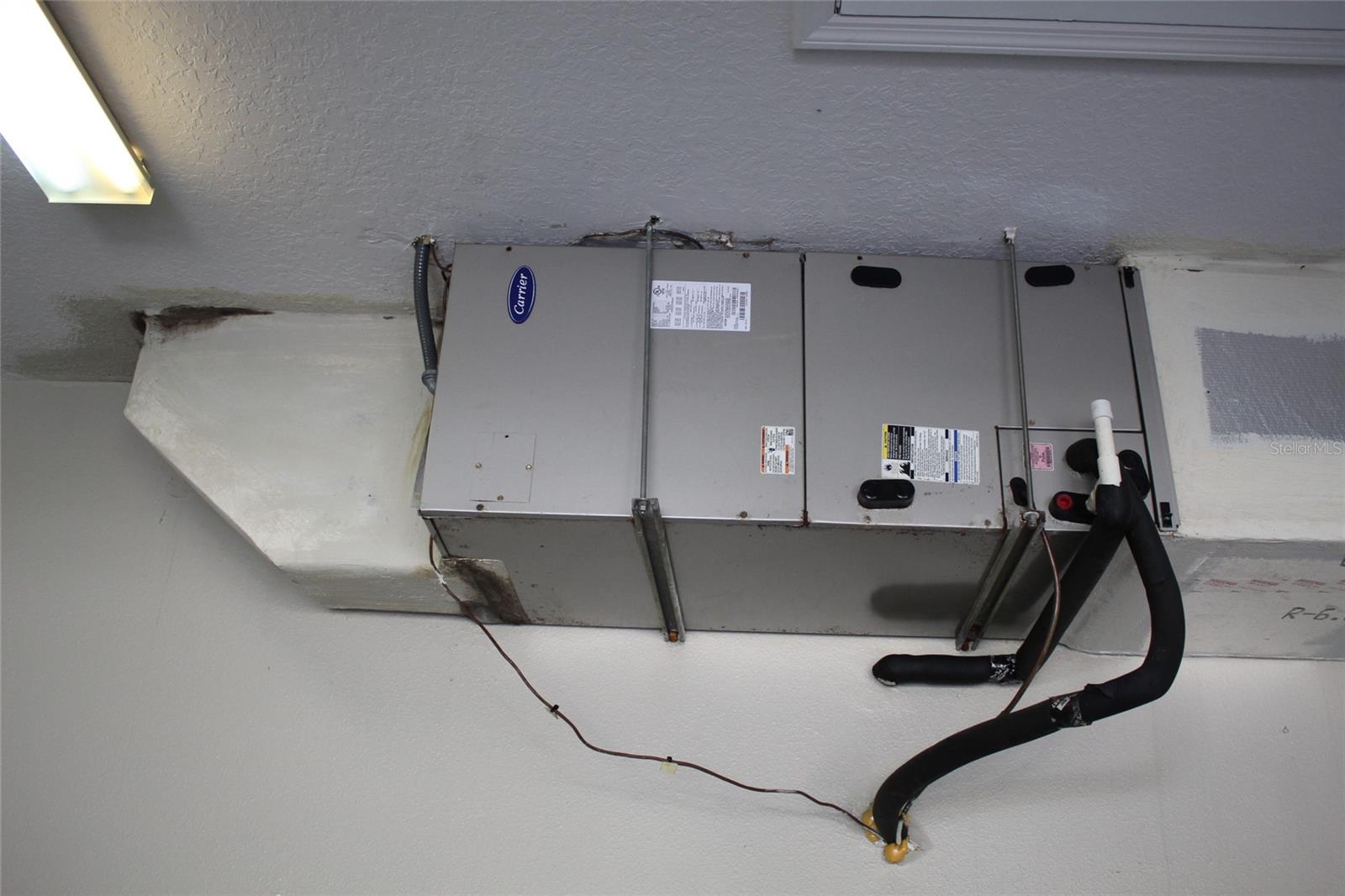 PALM PARK - Residential