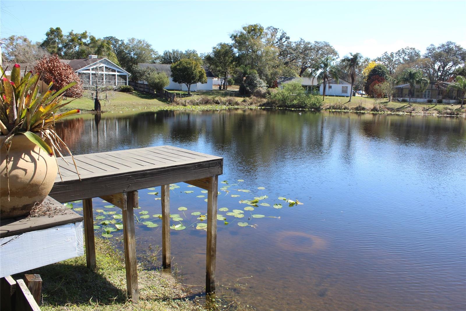 PALM PARK - Residential