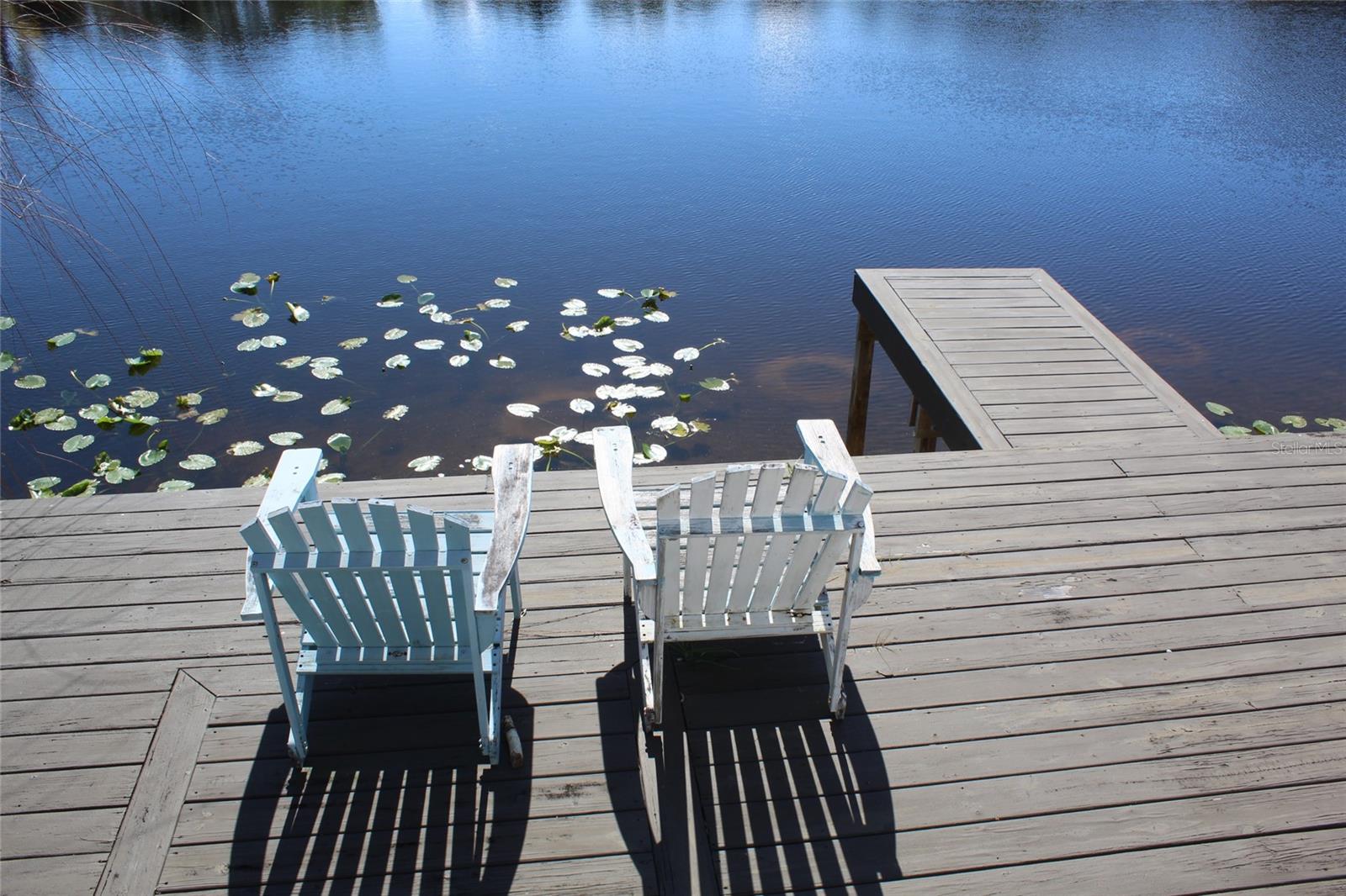 PALM PARK - Residential