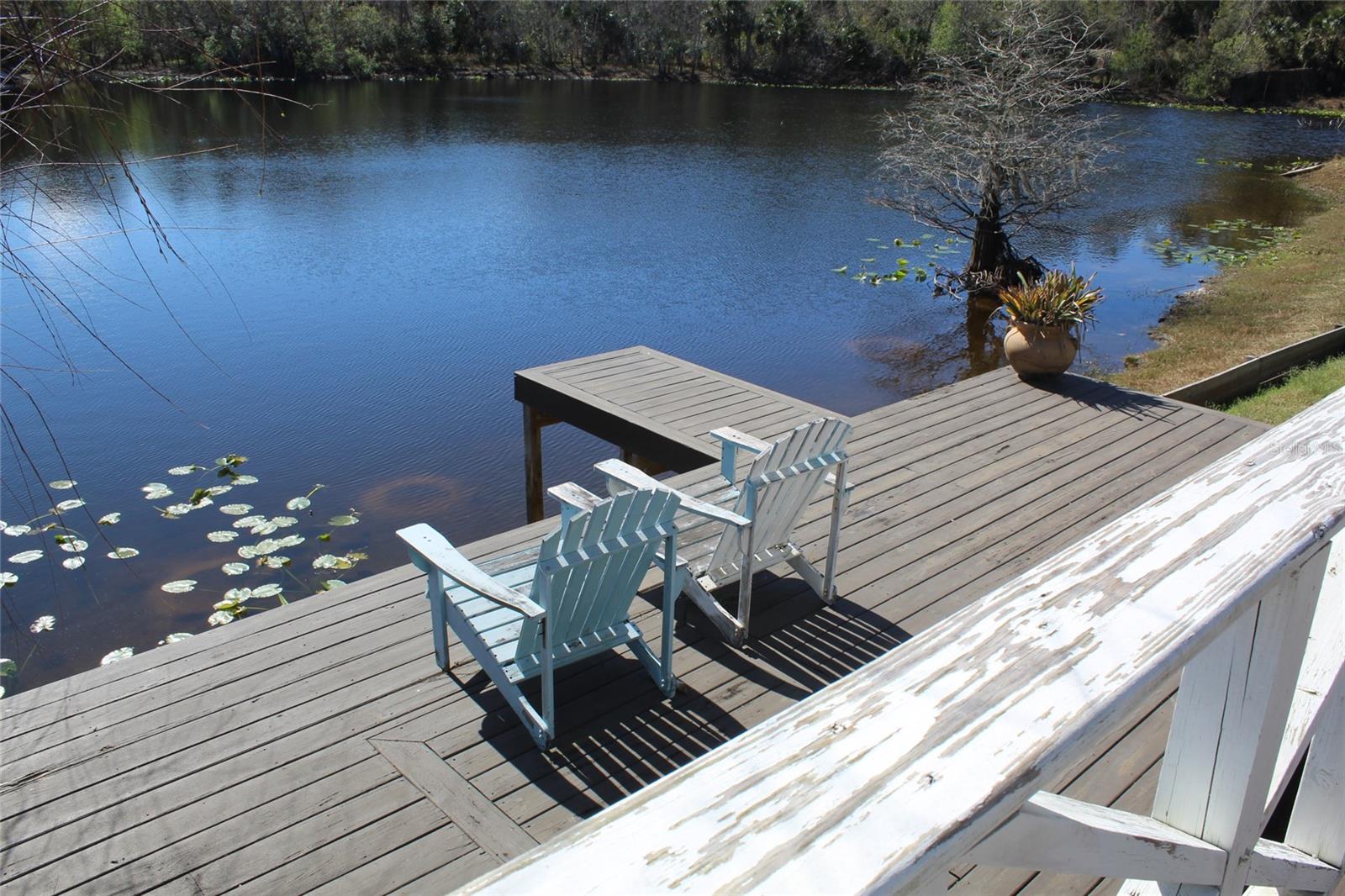 PALM PARK - Residential