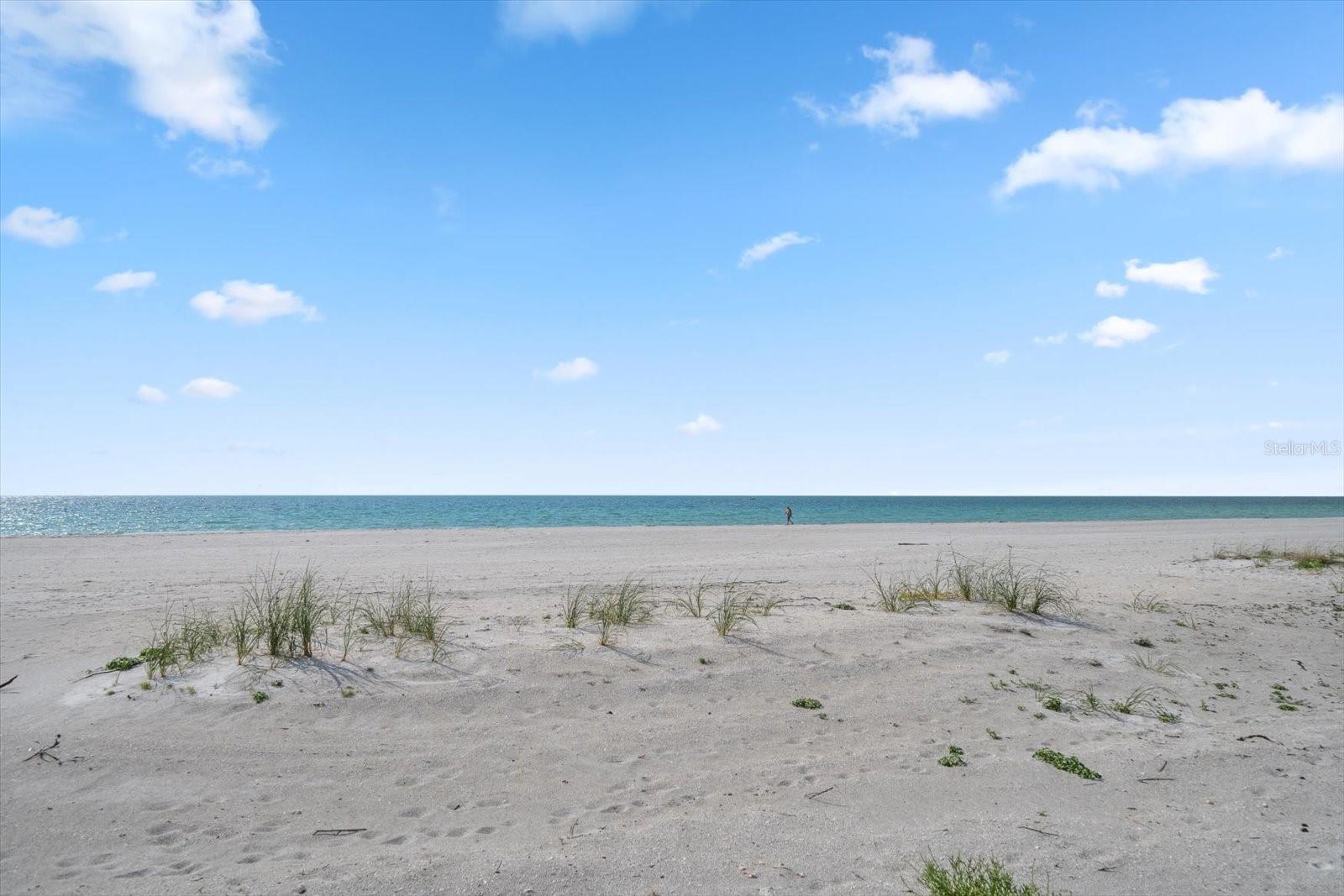 SAND KEY CONDO-SOUTH BEACH 1 - Residential Lease