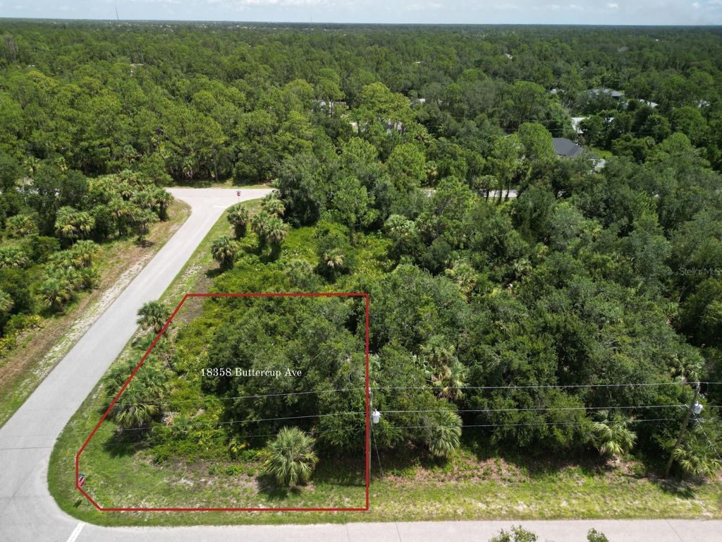 Photo of 18358 Buttercup Avenue, Port Charlotte, FL 33954 (MLS # C7511913)