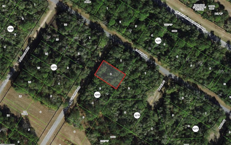 Welcome to this fantastic 0.23-acre lot in the heart of Citrus Springs, Florida! (The owner is also selling the adjacent lot) This parcel is situated in a rapidly growing neighborhood, making it a prime investment opportunity. The lot is high and dry, with an elevation of over 80 feet above sea level, ensuring excellent drainage and stability. Zoned as PDR (Planned Development Residential), this lot is perfect for building your dream home. Citrus Springs is known for its friendly community, beautiful natural surroundings, and proximity to outdoor activities. This lot offers the perfect blend of tranquility and growth potential. Don’t miss out on this opportunity to secure a piece of Florida’s promising future!