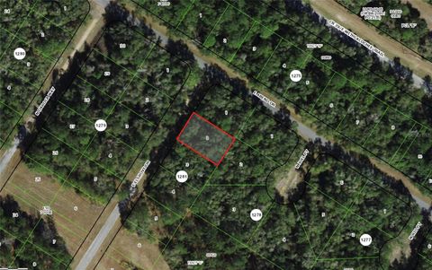 780 E ELGROVE DRIVE DUNNELLON FL 34434