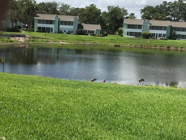 LIVE OAK VILLAGE CONDO - Residential