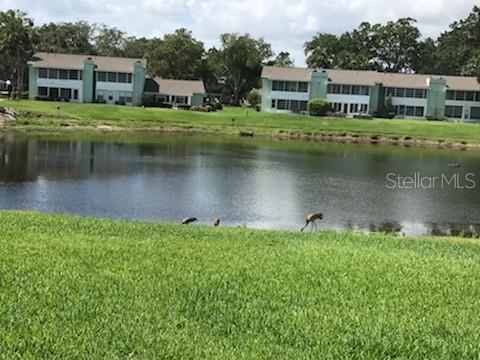 LIVE OAK VILLAGE CONDO - Residential