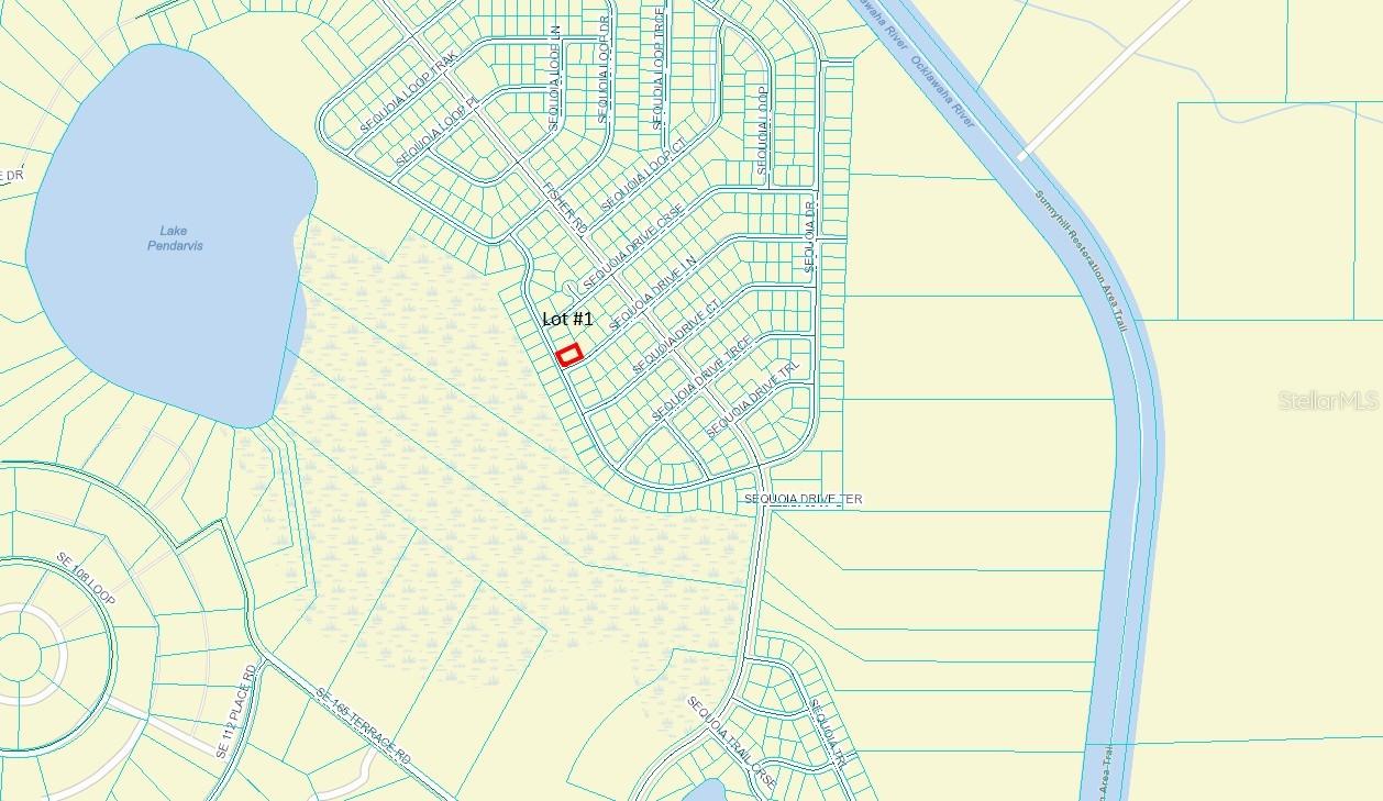 Listing is for two (2) lots and must be sold together. Lot #1 is in flood zone X and is a beautiful, wooded corner lot. Lot #2 is in flood zone A and a buildable lot according to Marion County Building Dept (please contact them for additional information and verification). This is a fantastic opportunity for anyone looking to build their dream home? Site built homes only, no mobiles in an up and coming neighborhood. Outdoor activities like fishing and hiking are nearby making it perfect for nature lovers. No HOA is definitely a bonus for those wanting more freedom with their property. Located near Ocala and Lady Lake/The Villages offers convenience while still enjoying a more serene setting. Drive by and take a look.