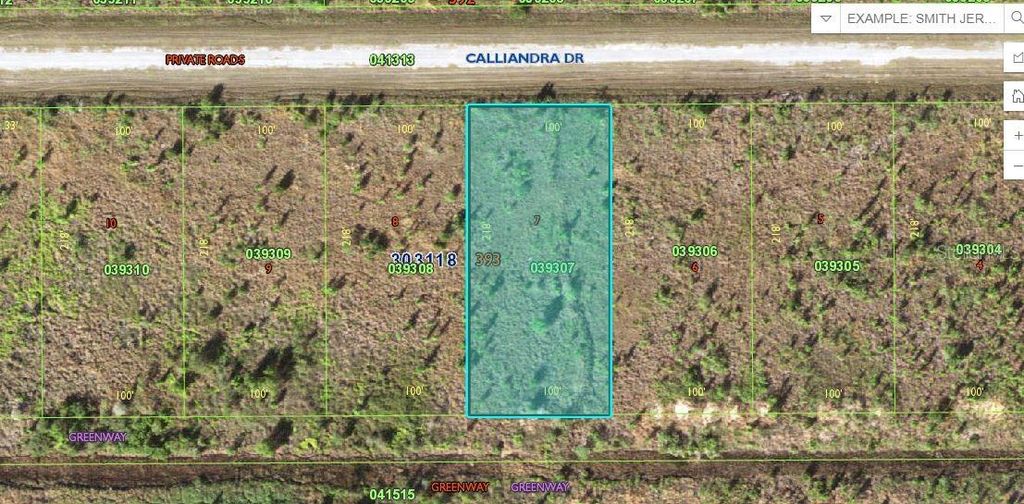 Photo of Calliandra Drive, Lake Wales, FL 33855 (MLS # O6229435)