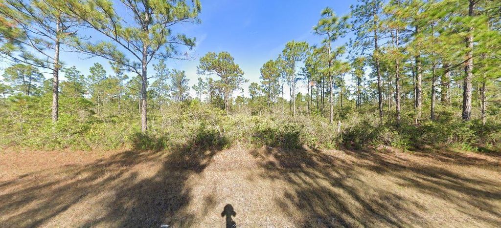 Photo of Calliandra Drive, Lake Wales, FL 33855 (MLS # O6229435)