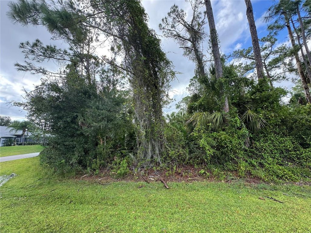 Photo of 18 Abbington Street, North Port, FL 34286 (MLS # A4685376)
