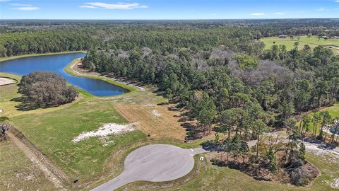 Tiny photo for 20280 Shoreline Ranch Lane, Umatilla, FL 32784 (MLS # O6416011)