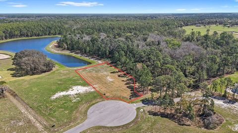 Tiny photo for 20280 Shoreline Ranch Lane, Umatilla, FL 32784 (MLS # O6416011)