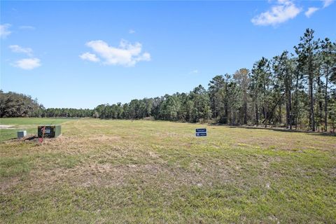 Tiny photo for 20280 Shoreline Ranch Lane, Umatilla, FL 32784 (MLS # O6416011)
