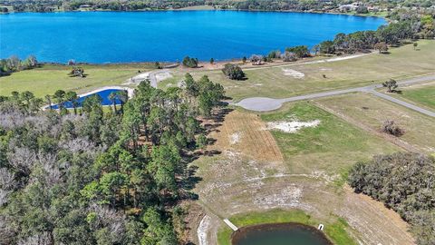 Tiny photo for 20280 Shoreline Ranch Lane, Umatilla, FL 32784 (MLS # O6416011)