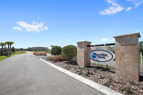 Tiny photo for 20280 Shoreline Ranch Lane, Umatilla, FL 32784 (MLS # O6416011)