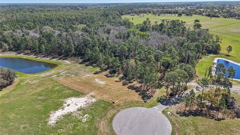 Tiny photo for 20280 Shoreline Ranch Lane, Umatilla, FL 32784 (MLS # O6416011)