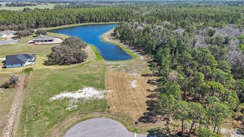 Tiny photo for 20280 Shoreline Ranch Lane, Umatilla, FL 32784 (MLS # O6416011)