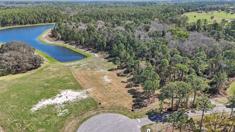Tiny photo for 20280 Shoreline Ranch Lane, Umatilla, FL 32784 (MLS # O6416011)