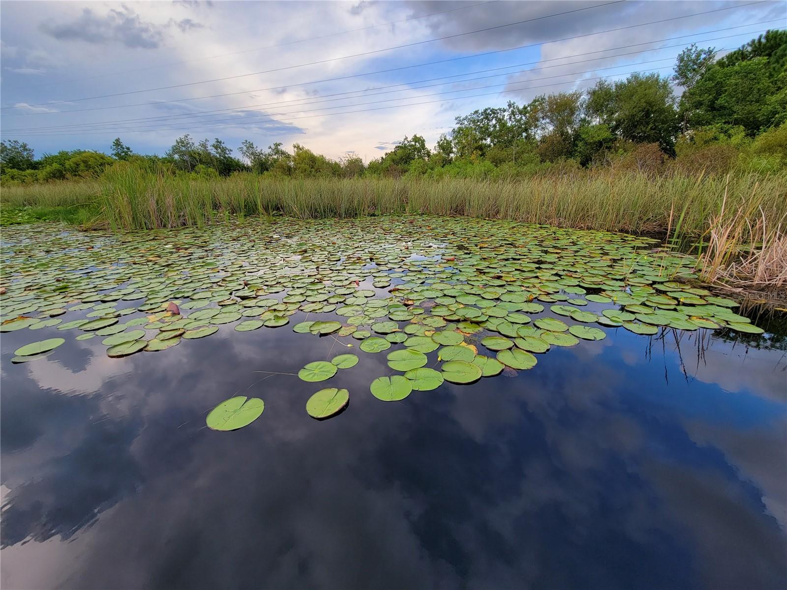 SIGNATURE LAKES, INDEPENDENCE - Residential