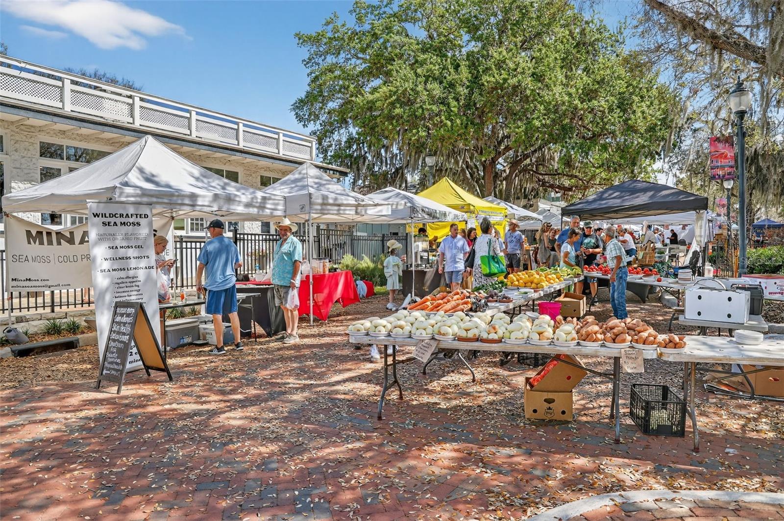 MOUNT DORA HIGHLANDS MOUNT DORA - Residential