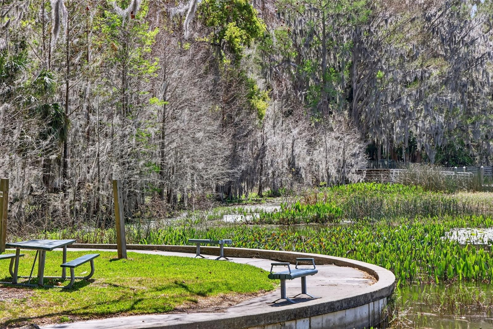 MOUNT DORA HIGHLANDS MOUNT DORA - Residential