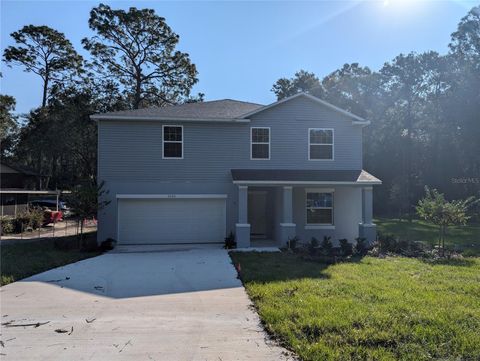 A home in DELAND