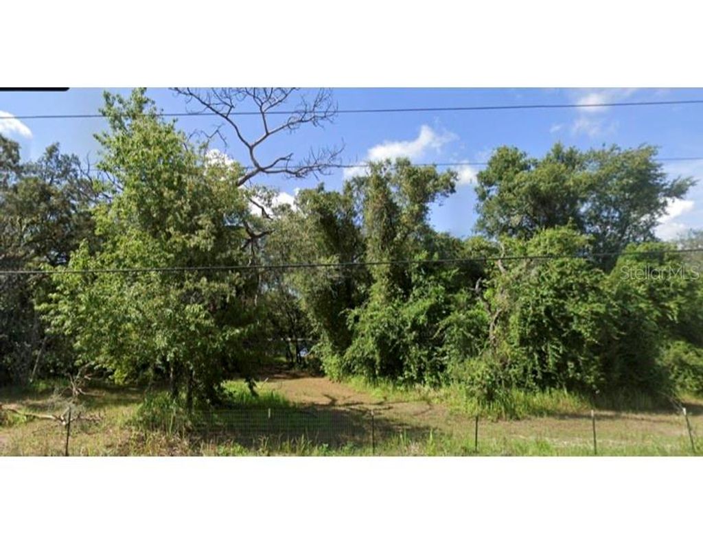 Photo of 15542 Peace Boulevard, Spring Hill, FL 34610 (MLS # TB8428172)
