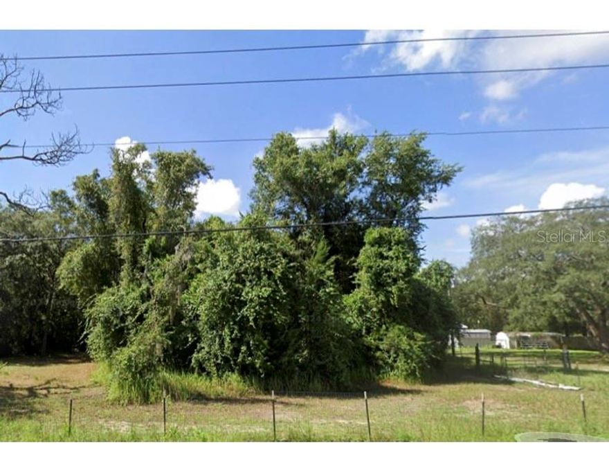 Vacant Land with tear down. This is an awesome 2.42 acre rectangle just off shady hills road. Perfect for a farm , a business or pretty much anything you want. access right off of Peace Blvd , Spring Hill address in Pasco County.Come to and see this massive piece of land today!