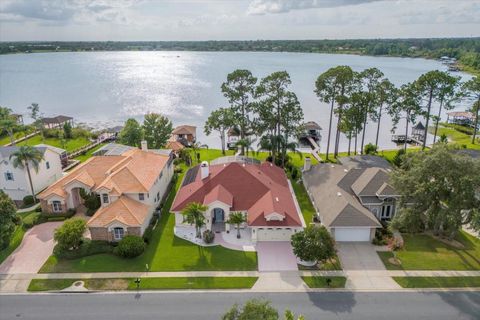 A home in MOUNT DORA