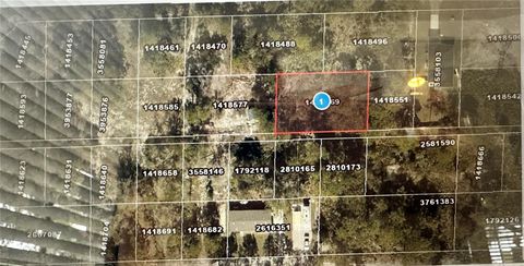 Lots 121 & 122 PARK FOREST BLVD MOUNT DORA FL 32757