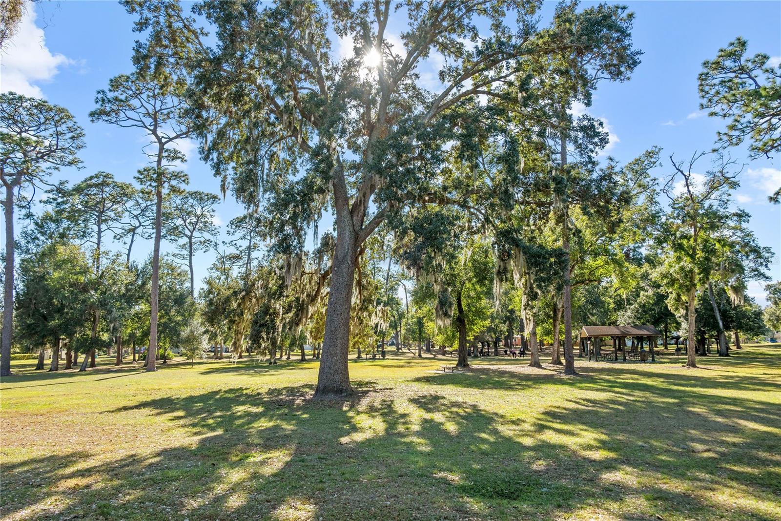 MYRTLE HEIGHTS - Residential