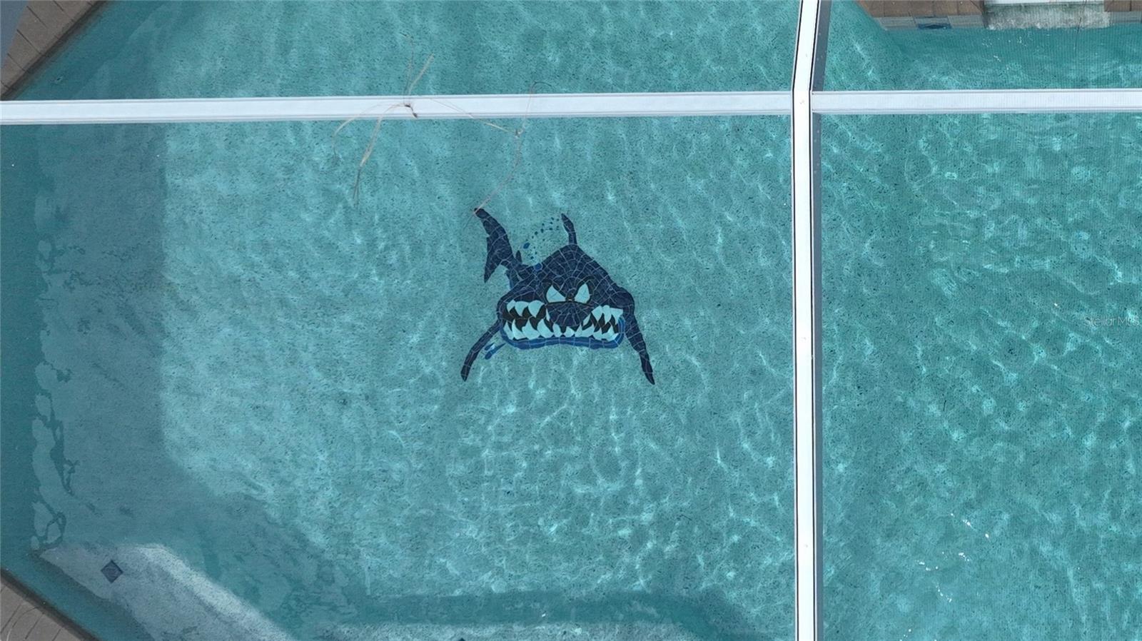 KING TARPON LAND CONDO - Residential