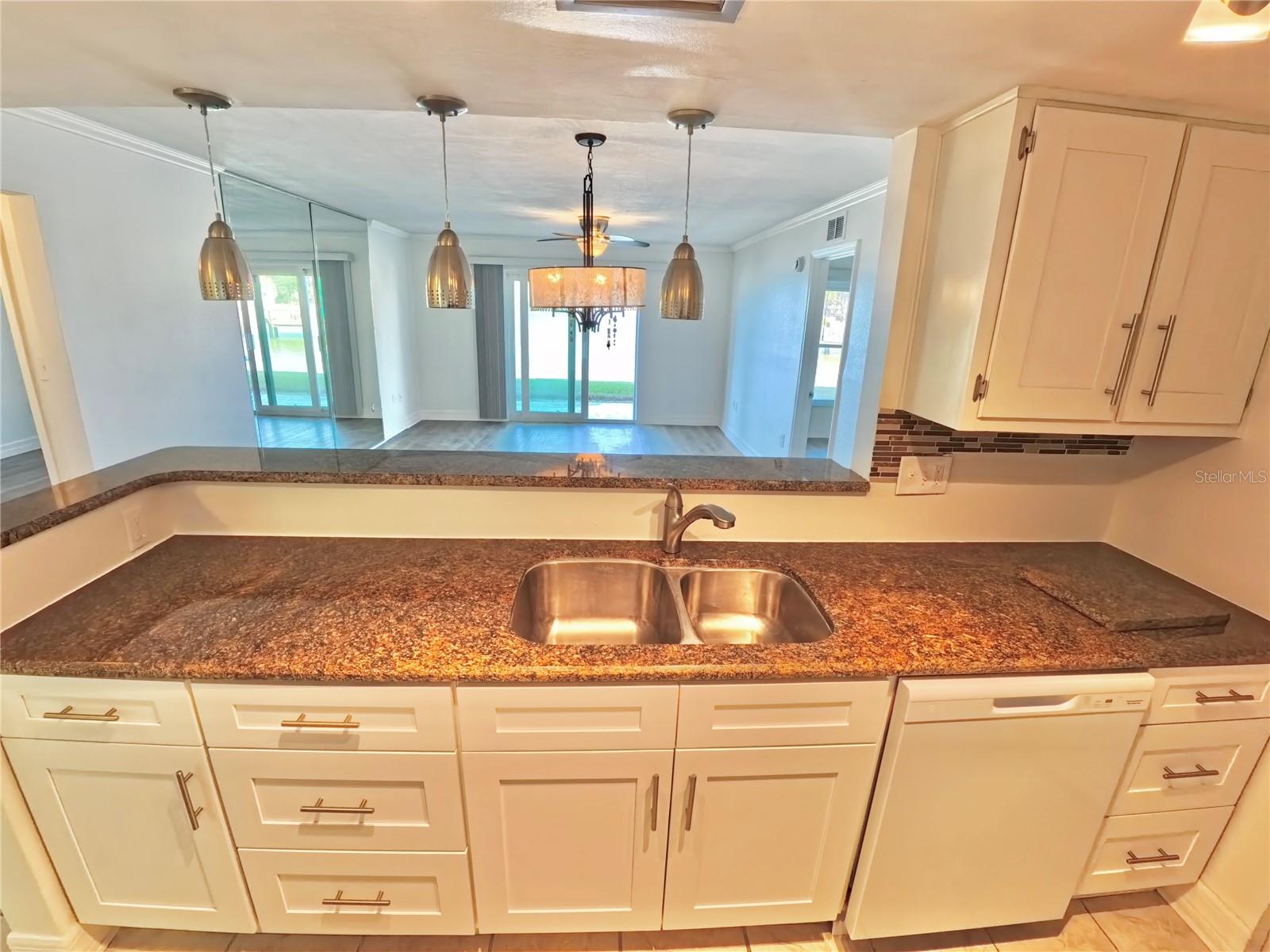 DOLPHIN POINTE OF DUNEDIN CONDO - Residential