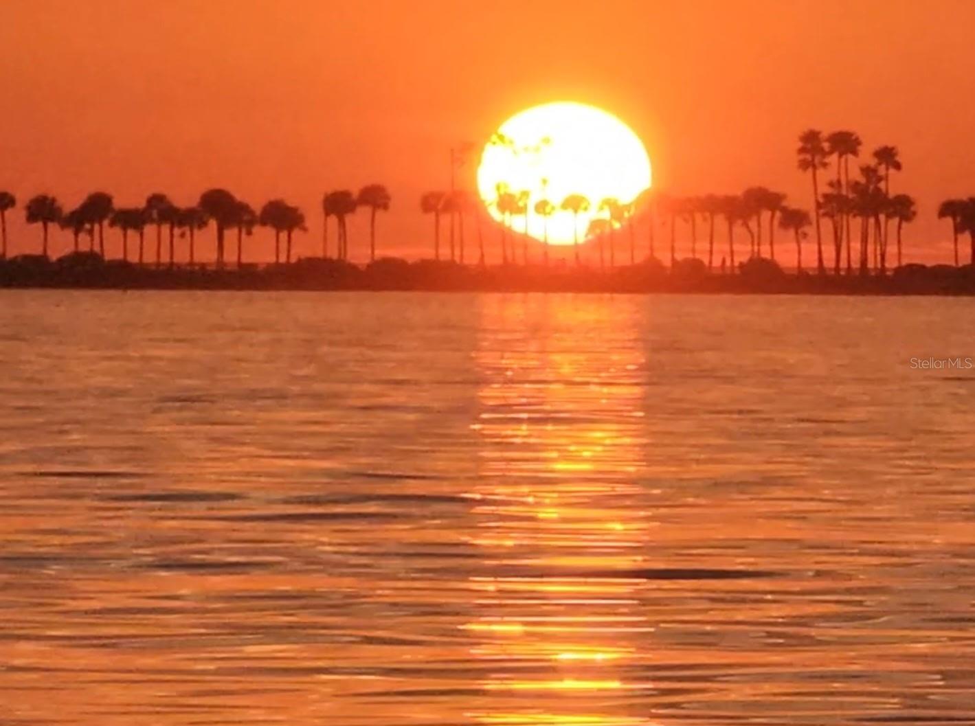 DOLPHIN POINTE OF DUNEDIN CONDO - Residential