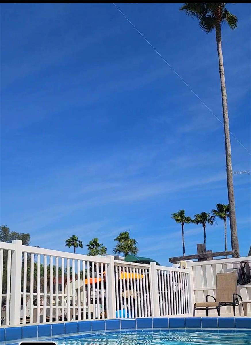 DOLPHIN POINTE OF DUNEDIN CONDO - Residential