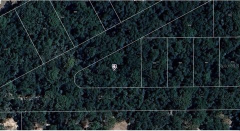 3077 W GRAPEVINE COURT DUNNELLON FL 34433