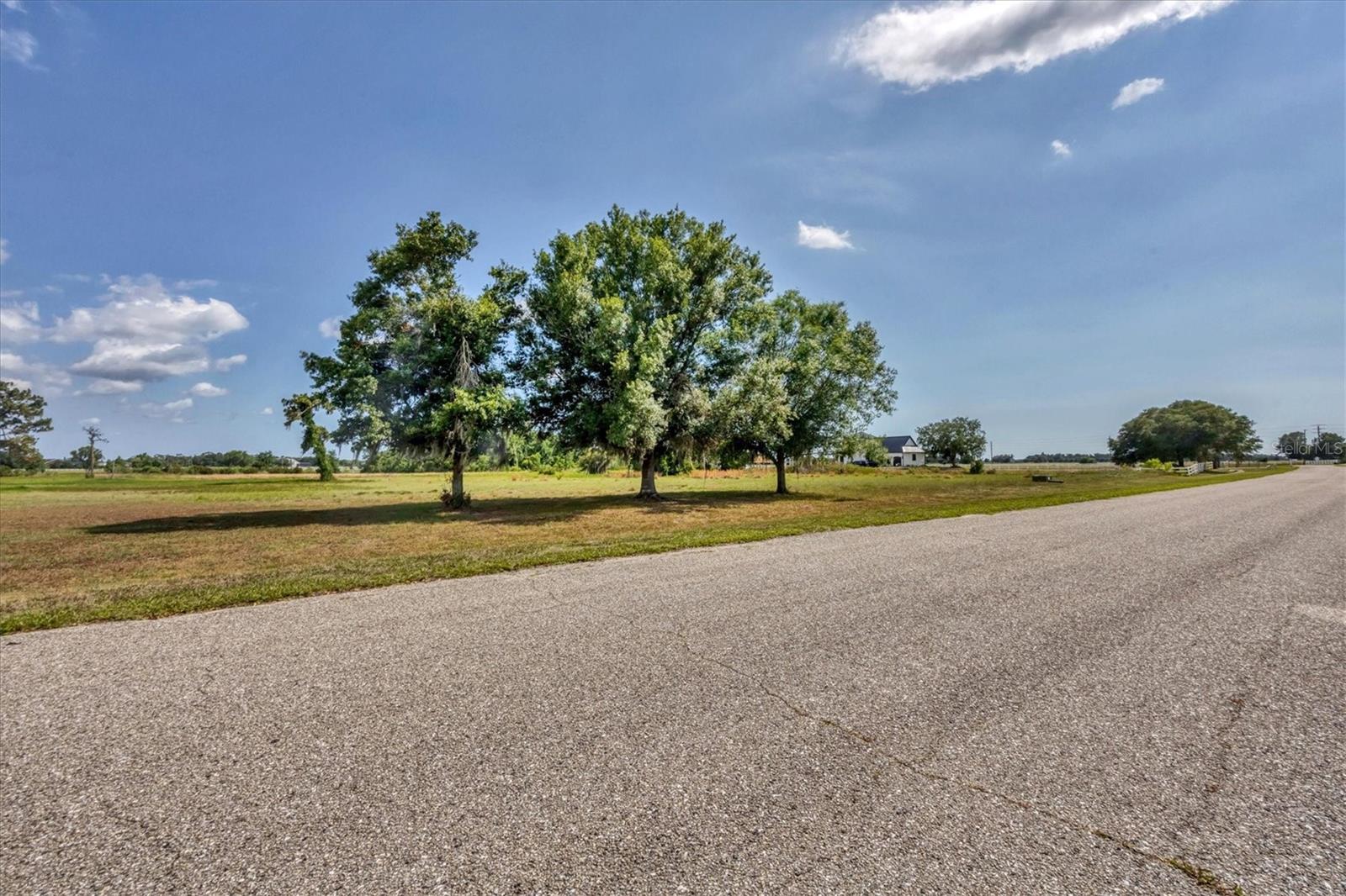 15884 CUTTING HORSE TRAIL