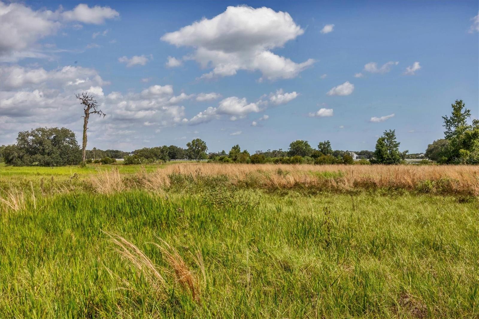 SARASOTA RANCH CLUB - Land