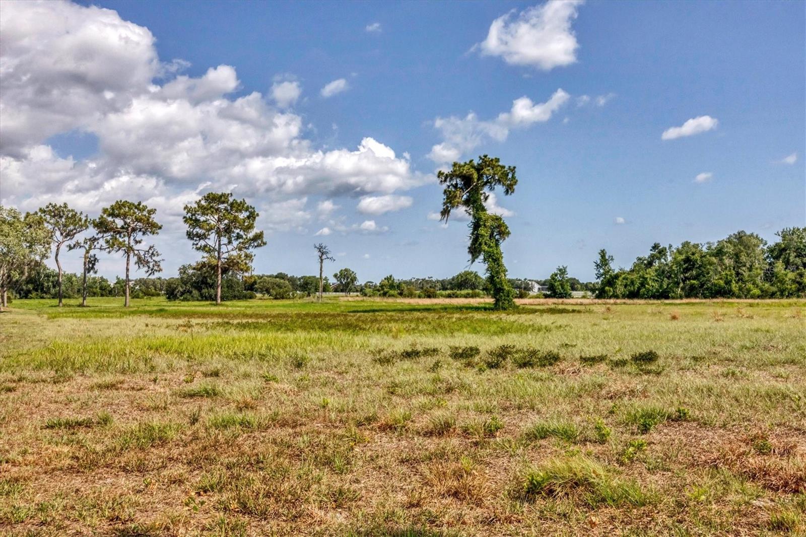SARASOTA RANCH CLUB - Land