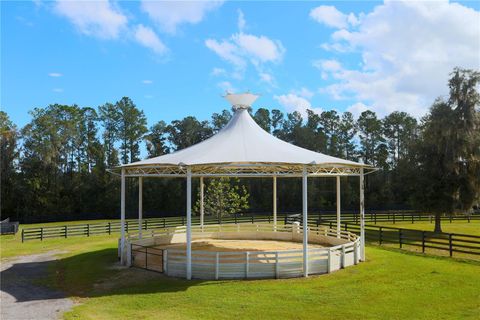 Tiny photo for 15650 W Highway 318, Williston, FL 32696 (MLS # OM701868)